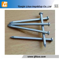 Low Price High Quality Electro Galvanized Square Boat Nails